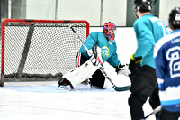 240825FCHL_E_BuschLeague_JurassicPuck23