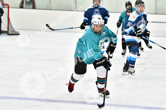 240825FCHL_E_BuschLeague_JurassicPuck49