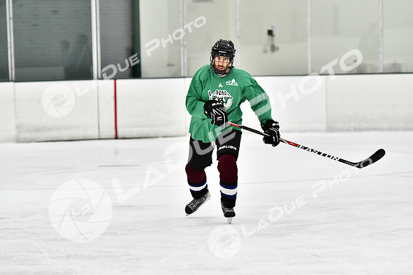 240828FCHL_D_Dominators_PondScum96