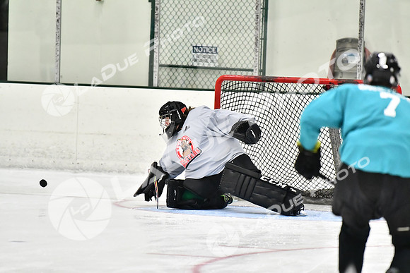 240825FCHL_E_BuschLeague_JurassicPuck12