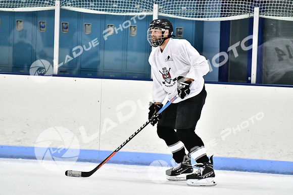 240828FCHL_D_SkatefulDead_Antinora44