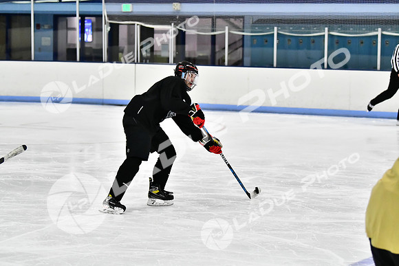 240828FCHL_D_Fortality_Valentes31