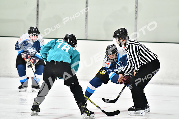 240825FCHL_E_BuschLeague_JurassicPuck54