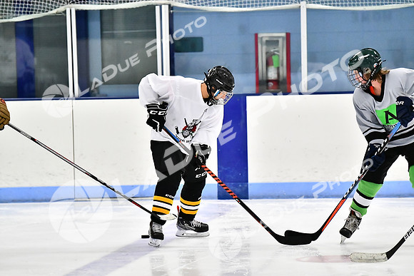 240828FCHL_D_SkatefulDead_Antinora8